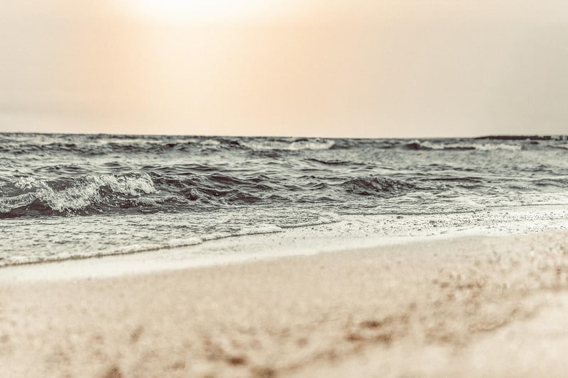 Beach Clearing