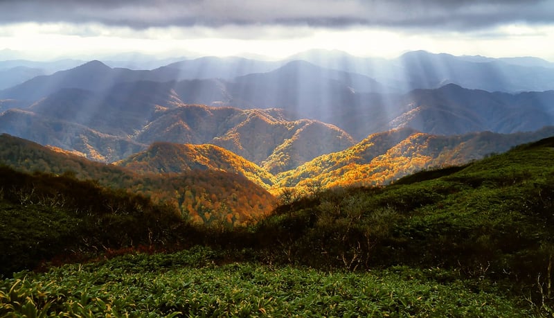 Mountain Overlook